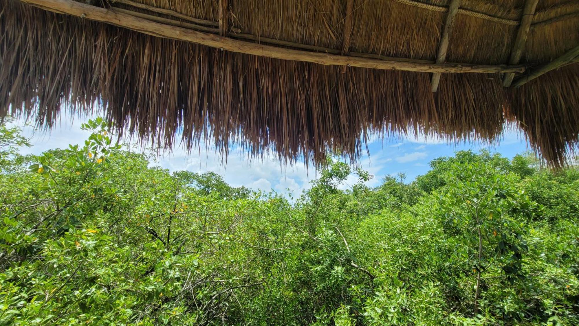 Cormoran Boutique Hotel&private Cenote 3* Tulum